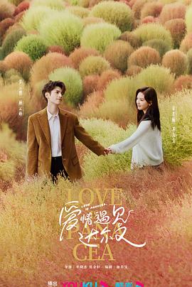 让我为你靠点谱