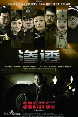 又见女王蜂